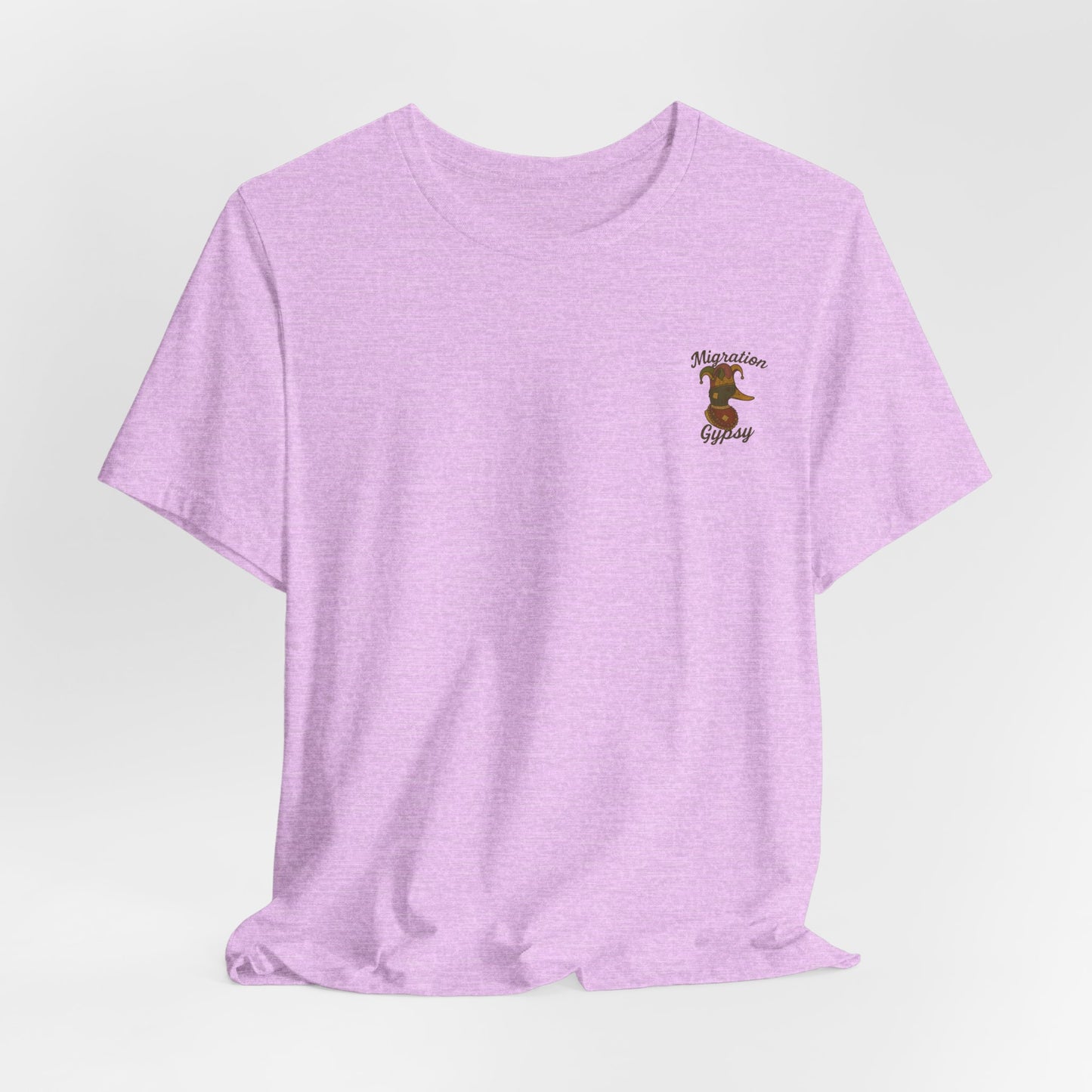 Migration Mardi Gras Vintage Duck Boat Travel Tee